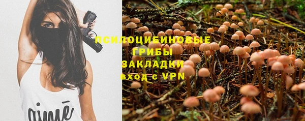 MESCALINE Магадан