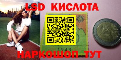 прущие грибы Абинск