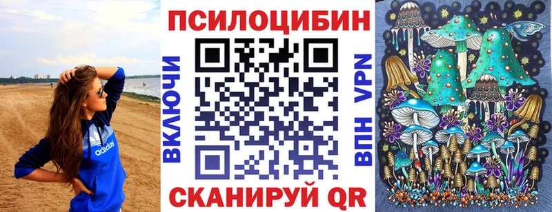 Псилоцибиновые грибы Psilocybe Астрахань