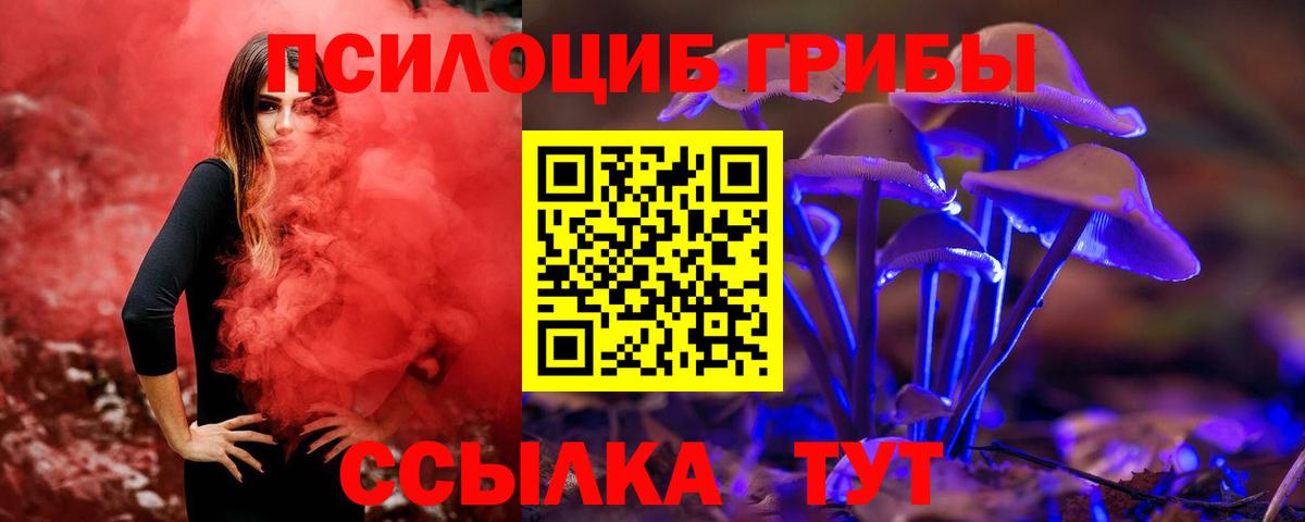 Псилоцибиновые грибы Psilocybe  Астрахань 
