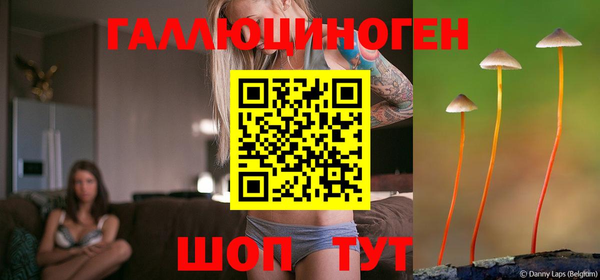 Галлюциногенные грибы Magic Shrooms Астрахань